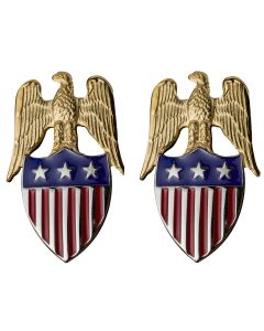 Aide-de-Camp Insignia, Pack of 2