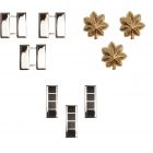 AGSU Officer Rank Insignia